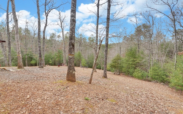 530 Bear Paw Church Rd, Murphy, NC 28906 - view of local wilderness with a wooded view