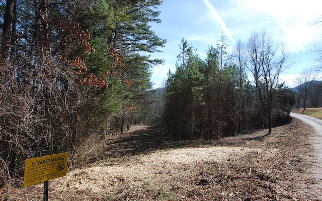 Listing photo 2 for LT12A Ivy Knob Ter, Hayesville NC 28904