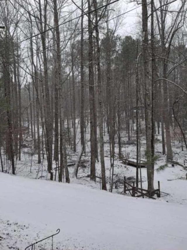 view of yard covered in snow