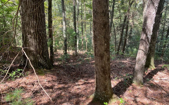 LOT58 Gobblers Knob, Suches GA, 30572 land for sale