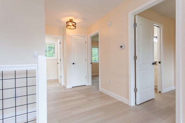 hall with a wealth of natural light and light hardwood / wood-style floors