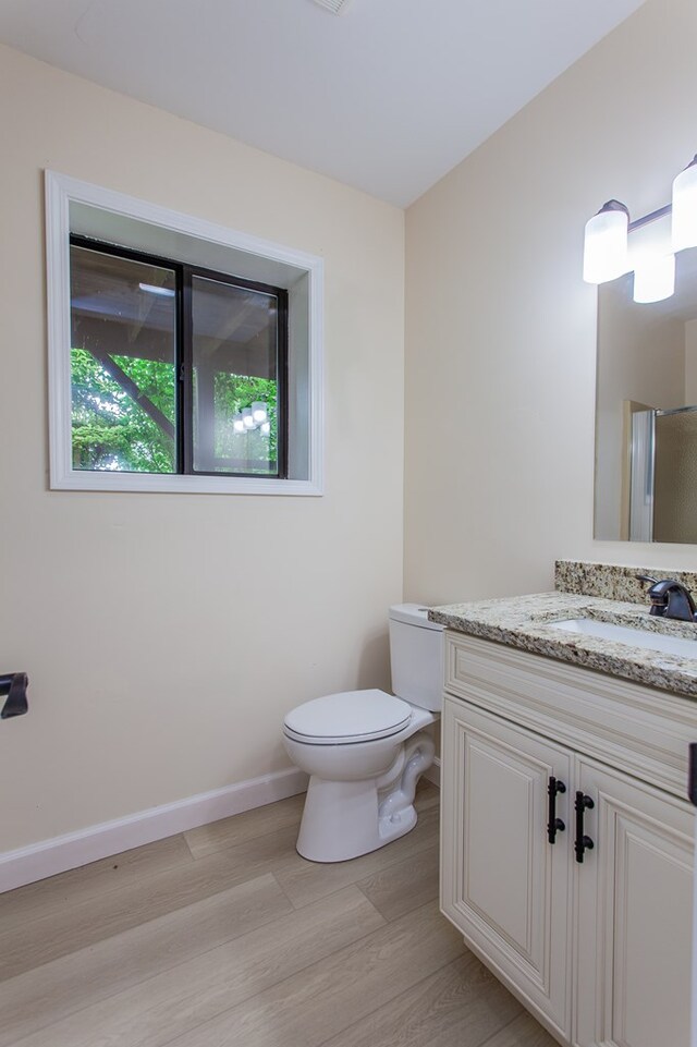 bathroom with vanity, toilet, and wood-type flooring