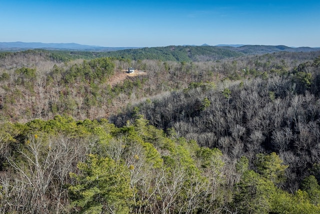 bird's eye view with a mountain view