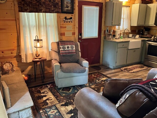 living room featuring wood walls, sink, and hardwood / wood-style flooring