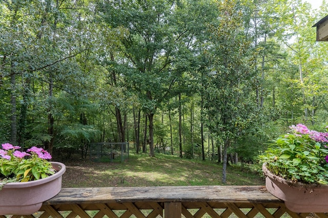 view of yard featuring a wooden deck