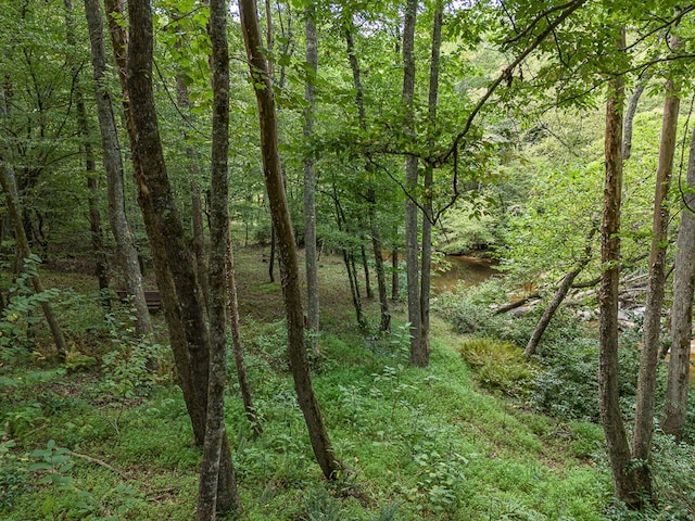 view of local wilderness