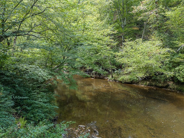 view of local wilderness