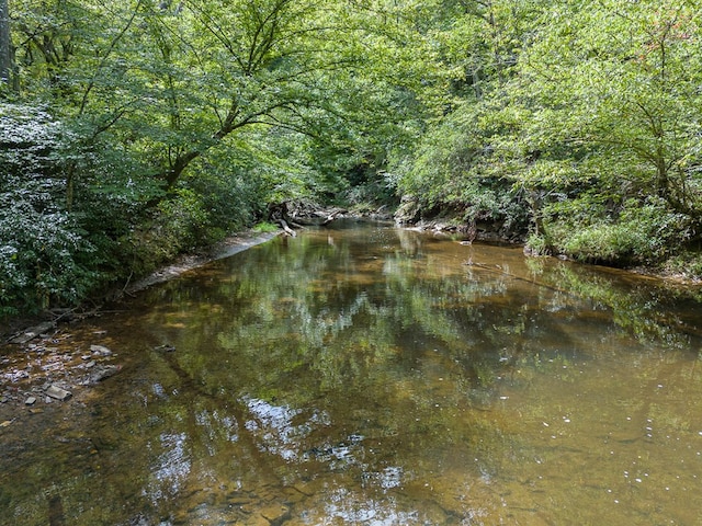 view of water feature