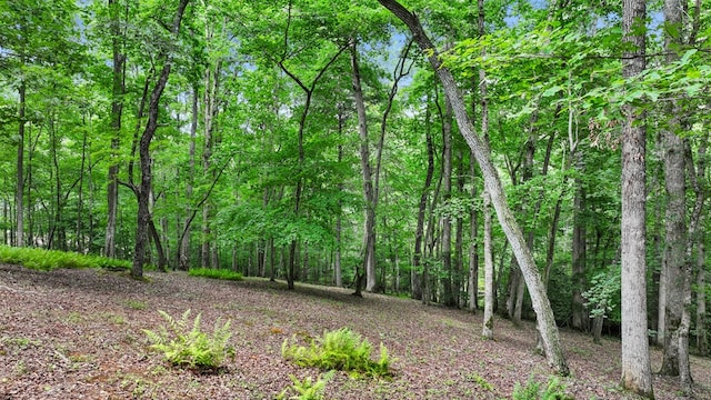 view of nature