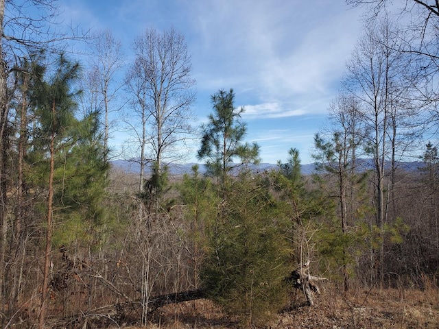 LOT25 Meadow Brooke, Young Harris GA, 30582 land for sale