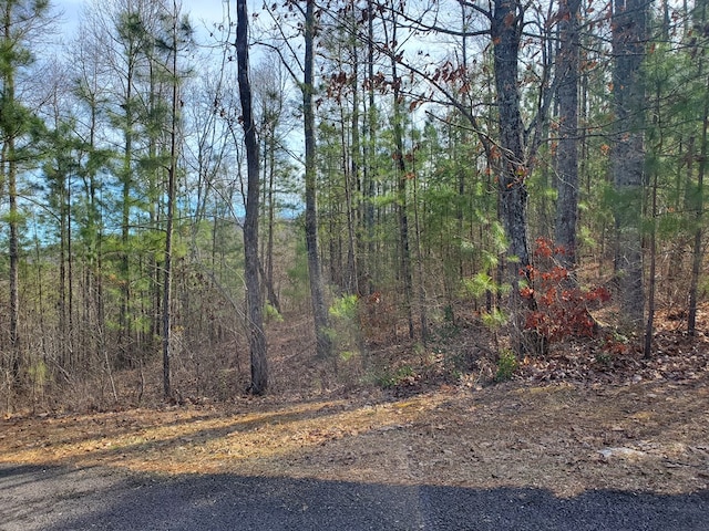 Listing photo 2 for LOT25 Meadow Brooke, Young Harris GA 30582