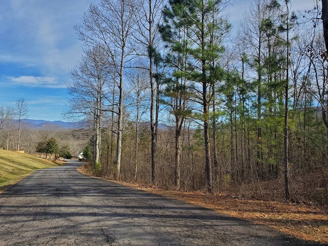 Listing photo 3 for LOT25 Meadow Brooke, Young Harris GA 30582