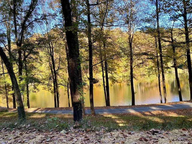 water view with a forest view