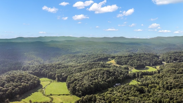 mountain view with a view of trees