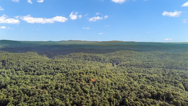 property view of mountains featuring a forest view