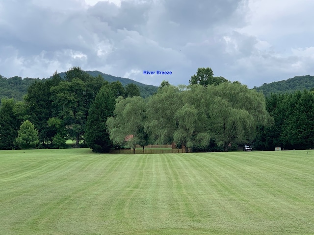 view of community featuring a yard and a wooded view