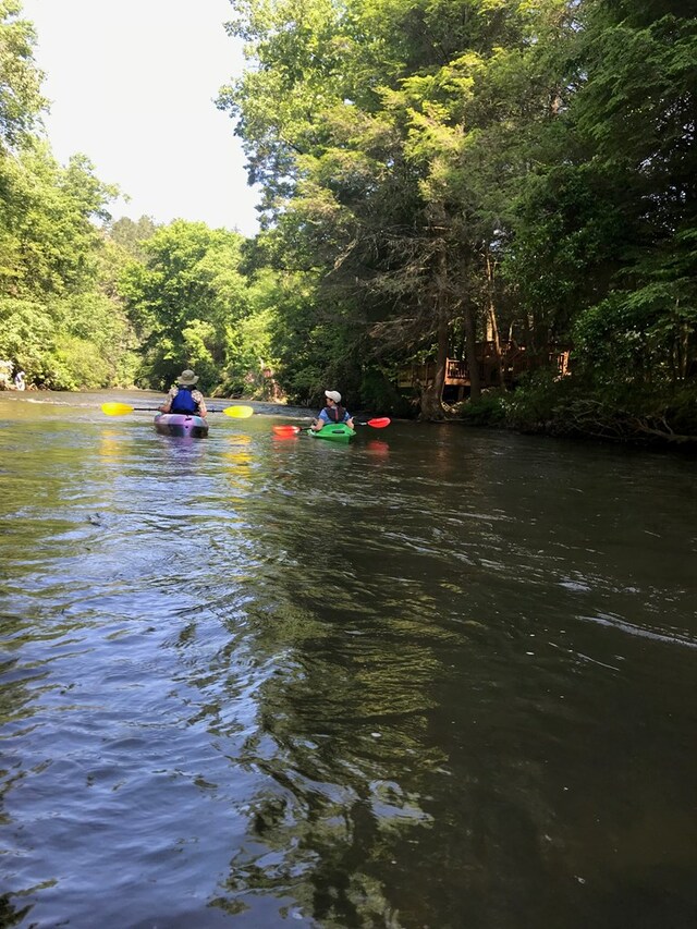 property view of water with a forest view