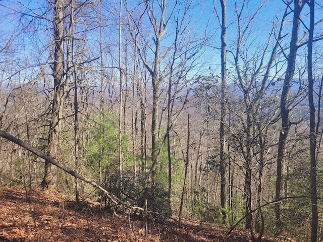 Listing photo 3 for 0 Blalock Rd, Turtletown TN 37391