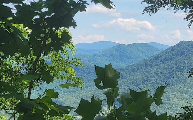 5 N Ridges Overlook, Hayesville NC, 28904 land for sale