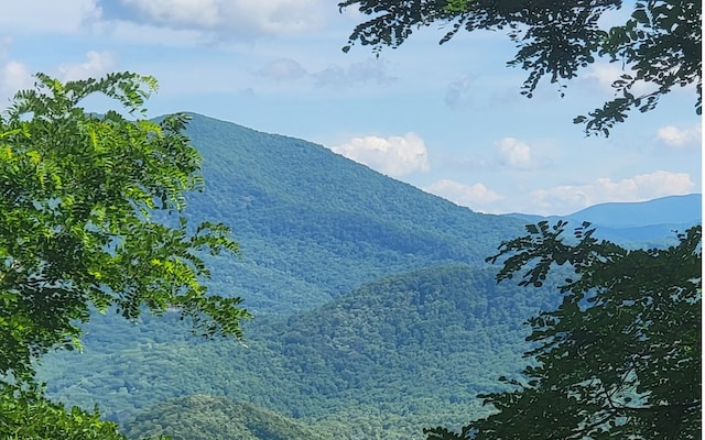 Listing photo 2 for 5 N Ridges Overlook, Hayesville NC 28904