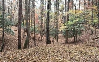 666 Abbey Ct, Ellijay GA, 30540 land for sale