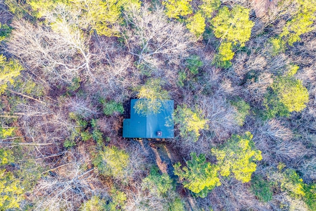 57 Coffee Pot Dr, Blue Ridge, GA 30513 - view of subject property