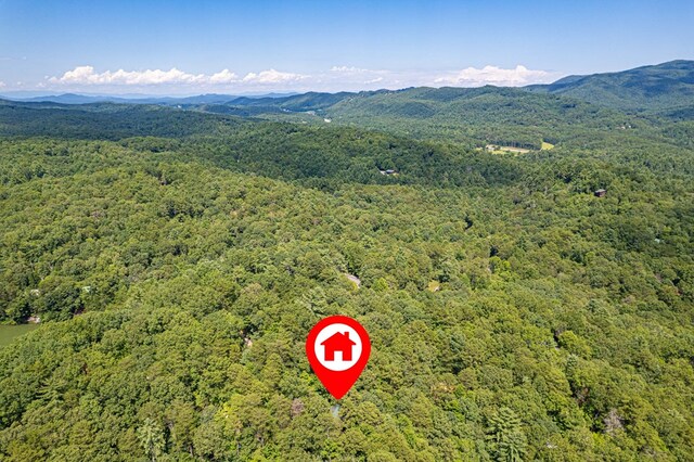 57 Coffee Pot Dr, Blue Ridge, GA 30513 - drone / aerial view of a forest and mountains