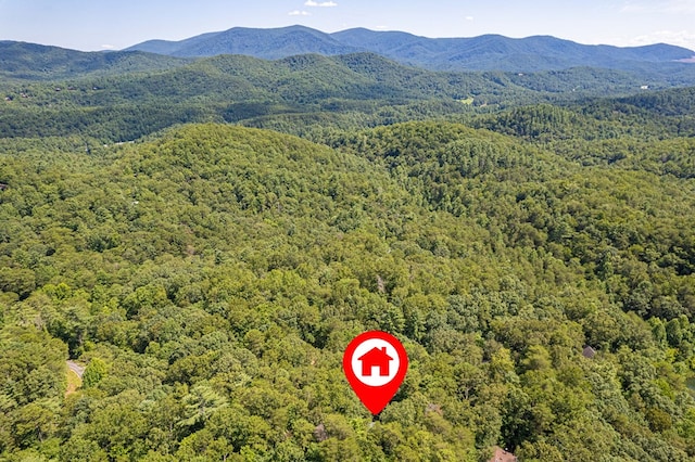 57 Coffee Pot Dr, Blue Ridge, GA 30513 - aerial view of a forest and mountains