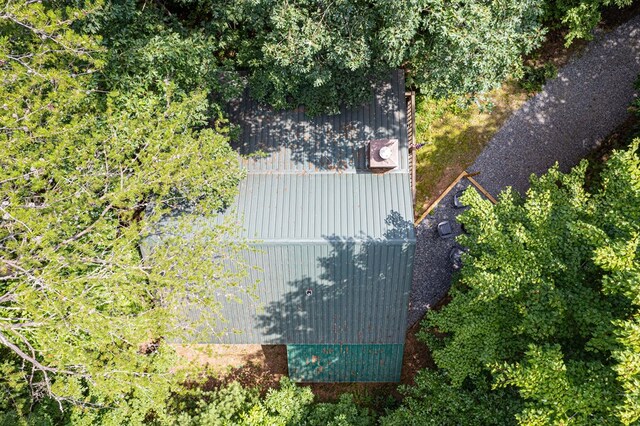 57 Coffee Pot Dr, Blue Ridge, GA 30513 - view from above of property