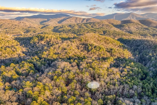 57 Coffee Pot Dr, Blue Ridge, GA 30513 - mountain view with a forest