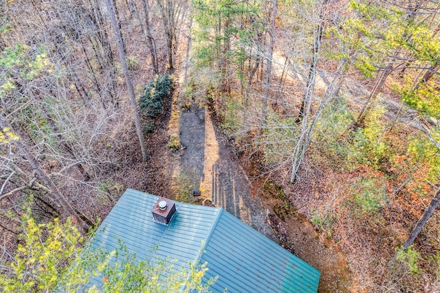 57 Coffee Pot Dr, Blue Ridge, GA 30513 - bird's eye view