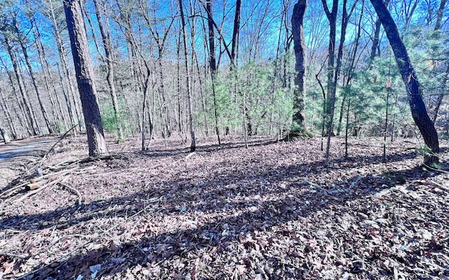 L1123 Spalding, Ellijay GA, 30540 land for sale