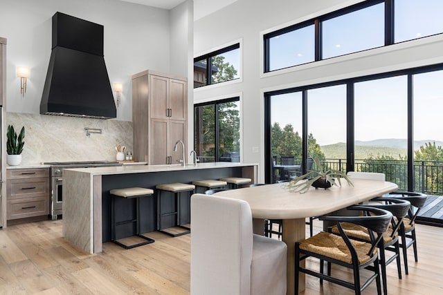 kitchen featuring custom exhaust hood, stove, light wood-type flooring, and a mountain view