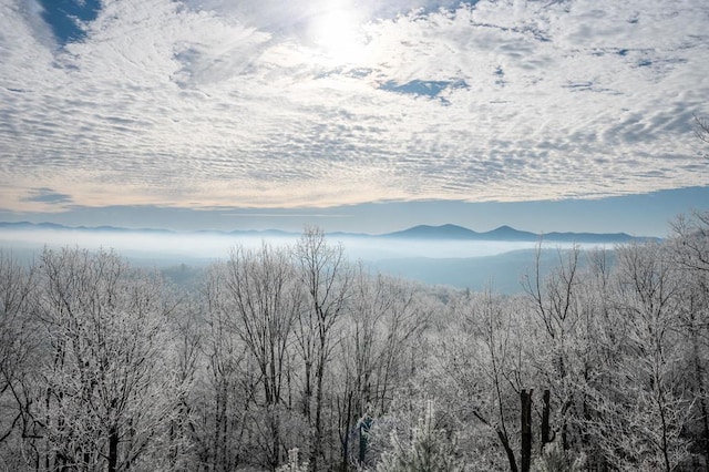 view of mountain feature