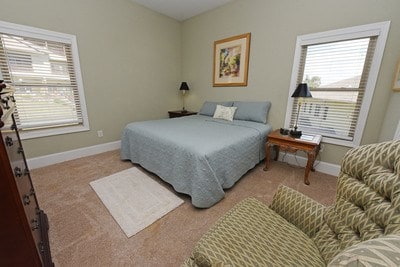 bedroom featuring light carpet and multiple windows