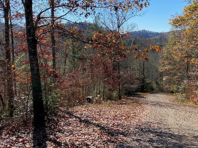 Listing photo 3 for LOT24 Thimble Loop, Murphy NC 28906