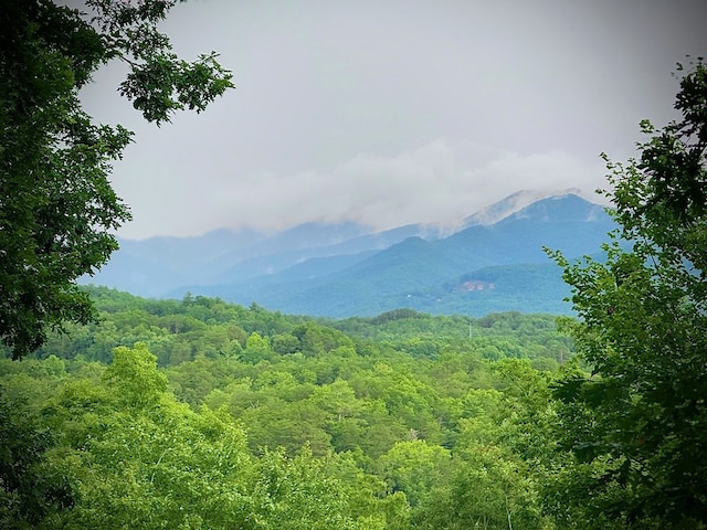 149 Poormans Trl, Murphy, NC 28906 - mountain view featuring a forest