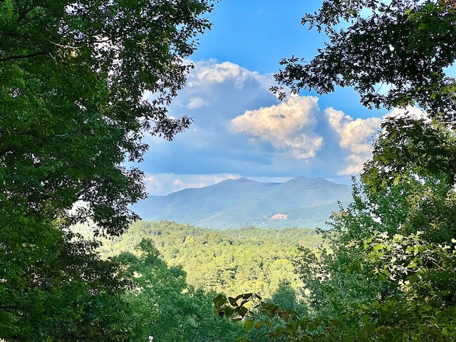 149 Poormans Trl, Murphy, NC 28906 - view of mountain backdrop with a forest