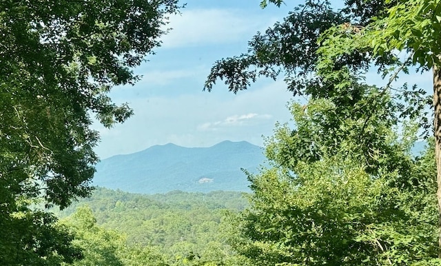 149 Poormans Trl, Murphy, NC 28906 - view of mountain backdrop with a forest