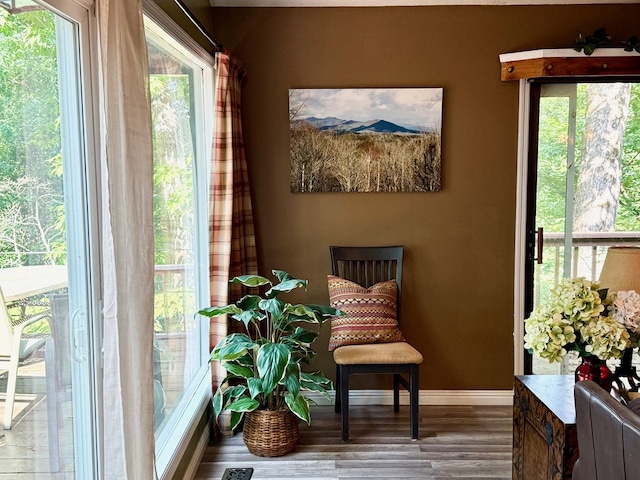 149 Poormans Trl, Murphy, NC 28906 - living area featuring wood finished floors and healthy amount of natural light