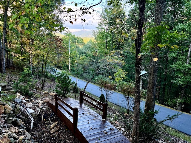 149 Poormans Trl, Murphy, NC 28906 - wooden terrace with a forest view