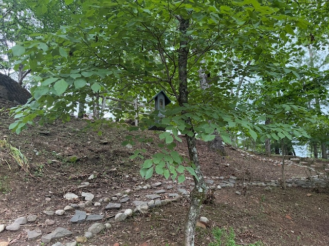 149 Poormans Trl, Murphy, NC 28906 - view of local wilderness