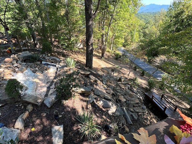 149 Poormans Trl, Murphy, NC 28906 - view of yard featuring a forest view