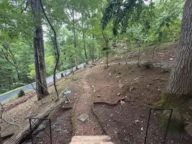 149 Poormans Trl, Murphy, NC 28906 - view of yard