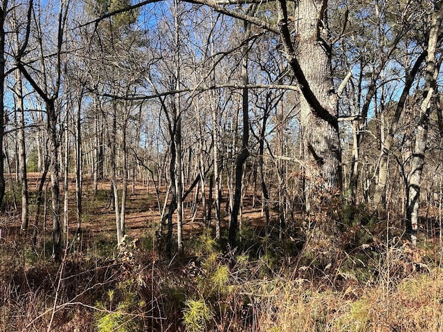 Listing photo 3 for LOT14 Fairview Way, Blue Ridge GA 30560