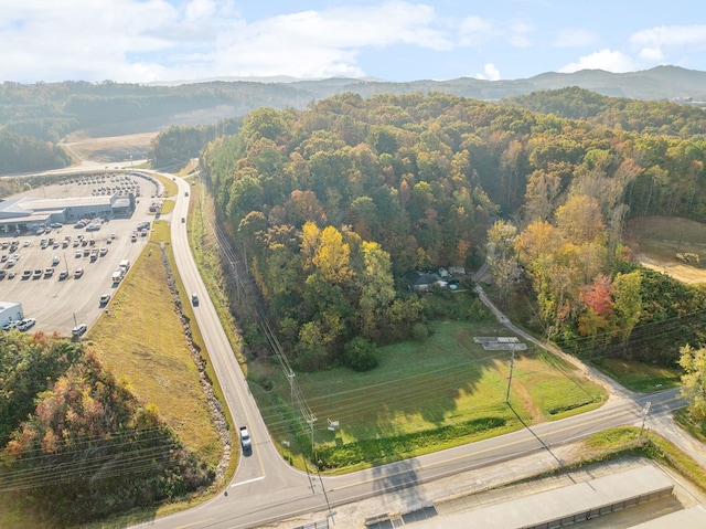 bird's eye view with a mountain view