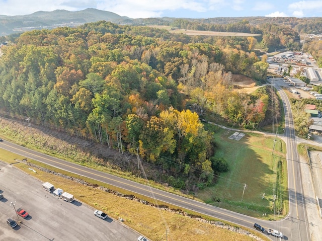 birds eye view of property featuring a mountain view