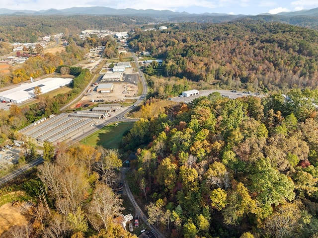 birds eye view of property with a mountain view