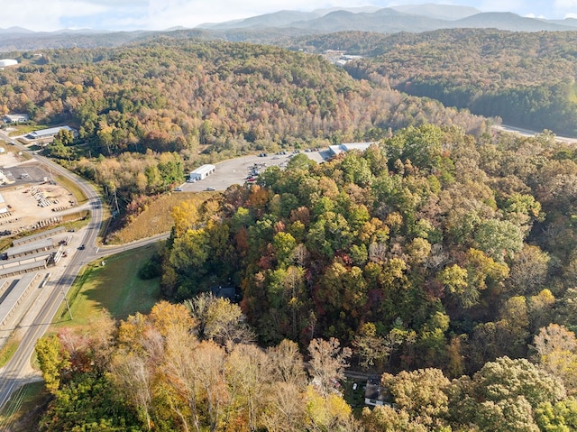 drone / aerial view with a mountain view