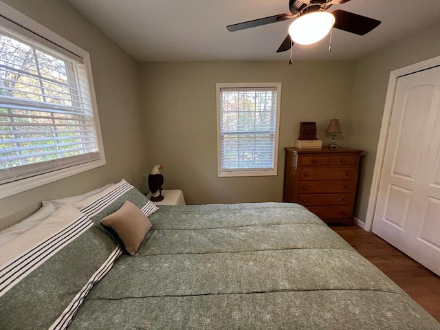 bedroom featuring multiple windows, dark wood-type flooring, and ceiling fan